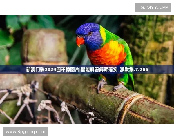 澳门官方彩票网安卓版下载:畅享便捷购彩新体验